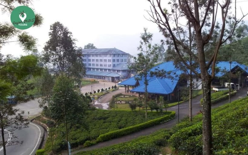 Kandy: Nuwara Eliya Day Explore by Tuk tuk with Local Guide - Why this Kandy to Nuwara Eliya day tour makes sense