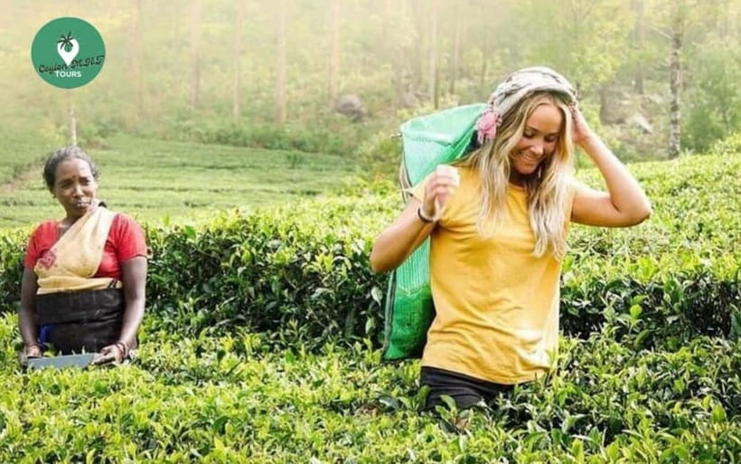 Kandy: Nuwara Eliya Day Explore by Tuk tuk with Local Guide - Ramboda Falls: the viewpoint + the short trek