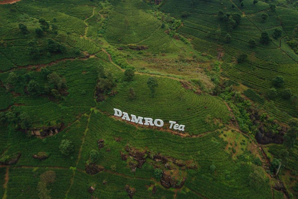 Kandy: Nuwara Eliya Day Trip - What to bring (and how to pace a 10-hour climb)