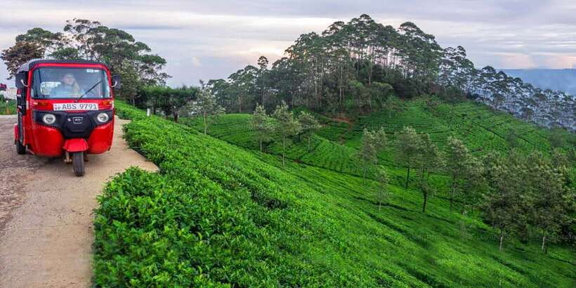 Kandy: Nuwara Eliya Day Trip - Morning start: 7:45AM pickup and the first two stops near Kandy