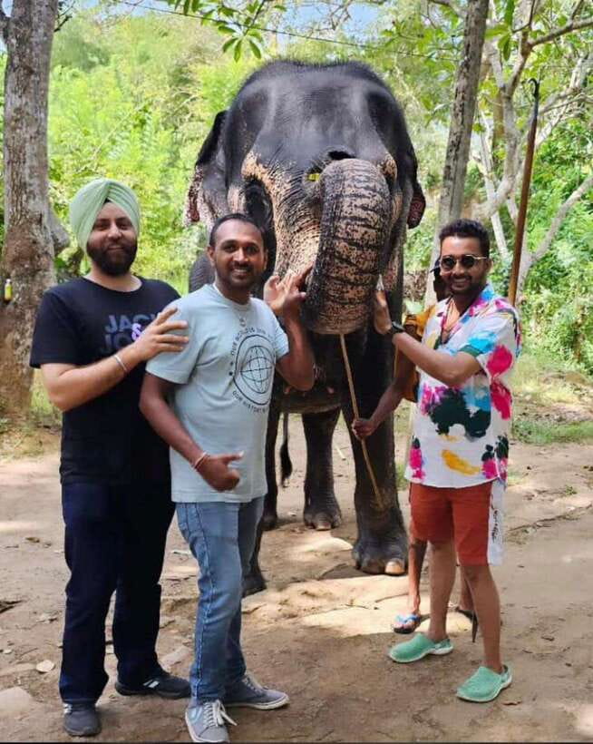 Kandy : Pinnawala Day Tour with Top Rated Local Guide - Key Things I’d Bet Your Day Will Get Right