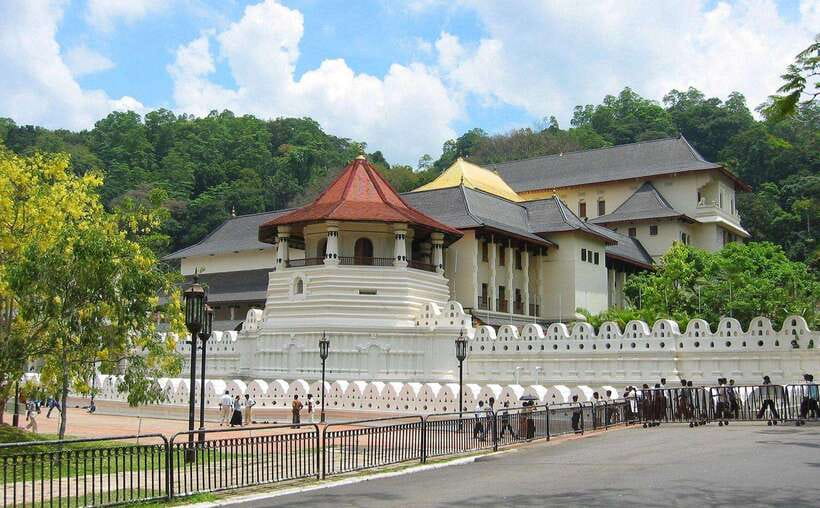 Kandy : Pinnawala Day Tour with Top Rated Local Guide - Giragama Tea Factory: Free Entry, Real Taste Lessons