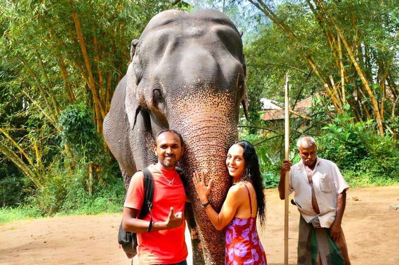 Kandy : Pinnawala Day Tour with Top Rated Local Guide - Pinnawala Elephant Orphanage and the Maha Oya River: Up Close, With Real Feelings
