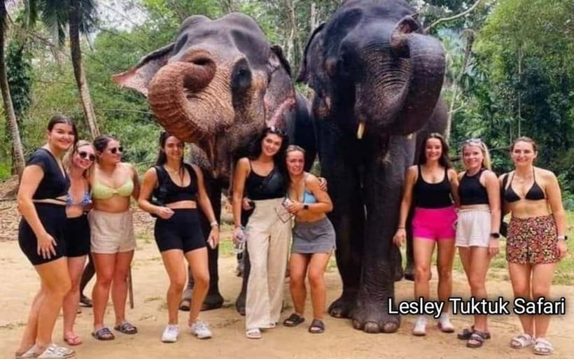 Kandy : Pinnawala Elephant Safari Private Guid Tuk Tuk Tour - Key Points I Think You’ll Care About