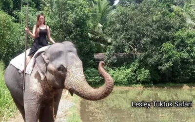 Kandy : Pinnawala Elephant Safari Private Guid Tuk Tuk Tour - Kadugannawa Scenic Stops Before You Reach the Main Attractions