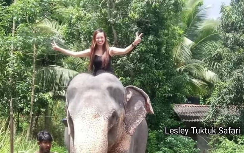 Kandy : Pinnawala Elephant Safari Private Guid Tuk Tuk Tour - Temples and Sacred Places: Ranawana Viharaya, Bahirawakanda, Sacred Tooth Relic