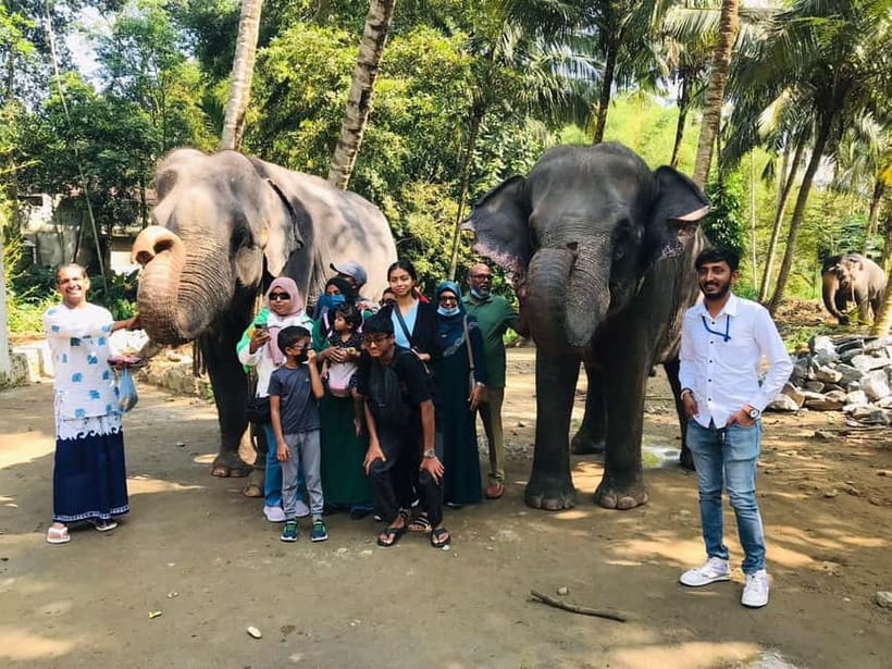 Kandy : Pinnawala Elephant Safari Private Guid Tuk Tuk Tour - Dodamwala Bridge and City View Points for Final Photos