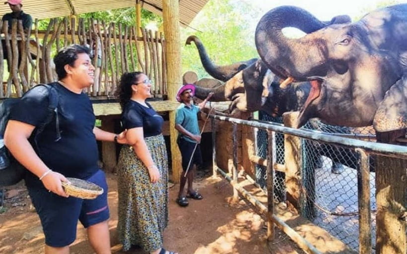 Kandy : Pinnawala Elephant Safari Tour with Kandy City Tour - Sacred Tooth Temple, Asgiriya Stupa, and the Big Buddha stop