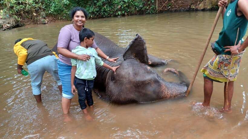Kandy & Pinnawala & Tea Factory Full Day Tour From Negombo - Spice garden, gem, and craft stops: how to handle the shopping vibe