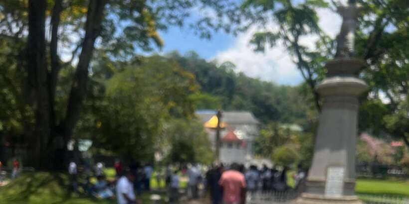 Kandy: Private City Highlights Guided Tour by Tuk-Tuk - Big Buddha and the Kandy View Point: Where the Photos Make Sense