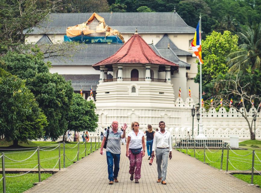 Kandy: Private Guided City Tours by Tuk Tuk Sightseeing Tour - Bahirawakanda Buddha Statue: the view above the view