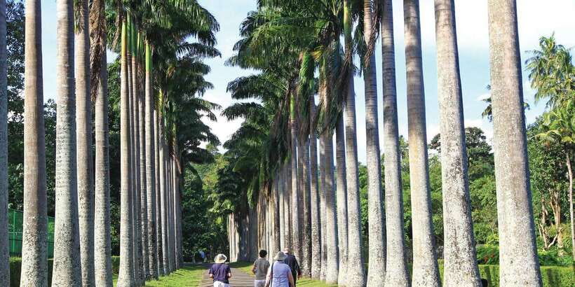 Kandy: Private Guided City Tours by Tuk Tuk Sightseeing Tour - Kandy wood crafting stop: watch artisans work, don’t get pressured