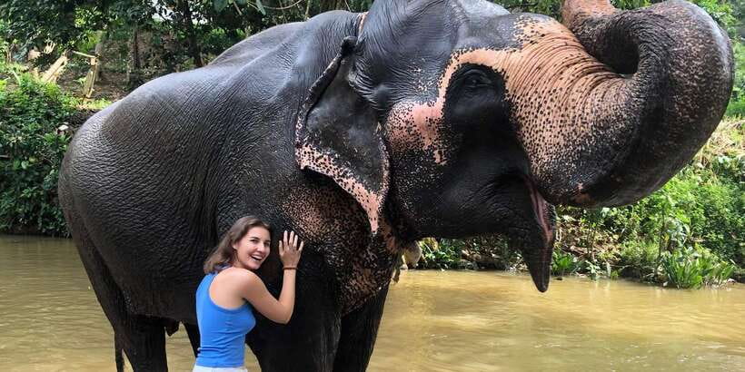 Kandy privet day tour with pinnawala and Tea plantation - Pinnawala Millennium Elephant Orphanage: the river-bath moment
