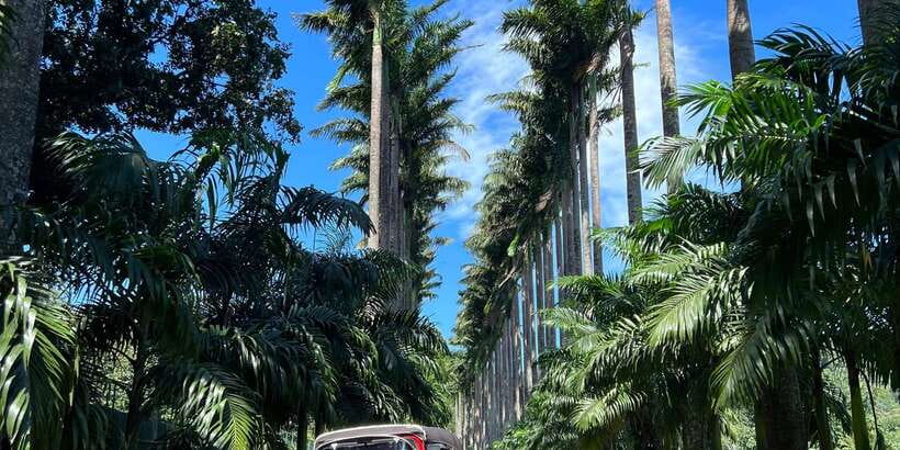 Kandy privet day tour with pinnawala and Tea plantation - Bahirawakanda Temple and the Kandy-side scenic moment