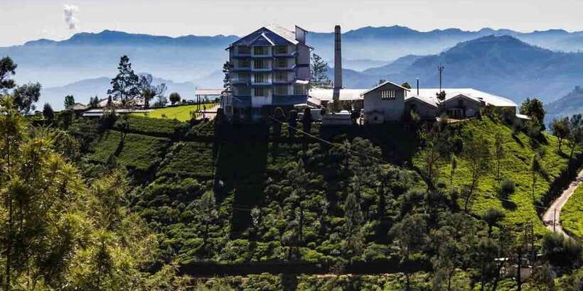 Kandy: Shanthipura and Nuwara Eliya - Mackwoods Labookellie Tea Centre: where the tea story becomes real