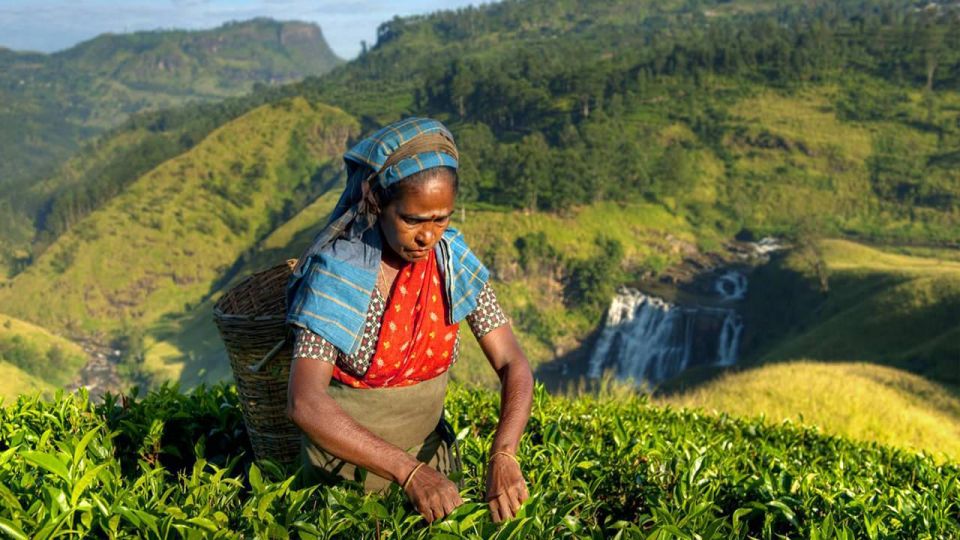 Kandy: Shanthipura and Nuwara Eliya - Nuwara Eliya: British-era resort vibes, but with hill-town practicality