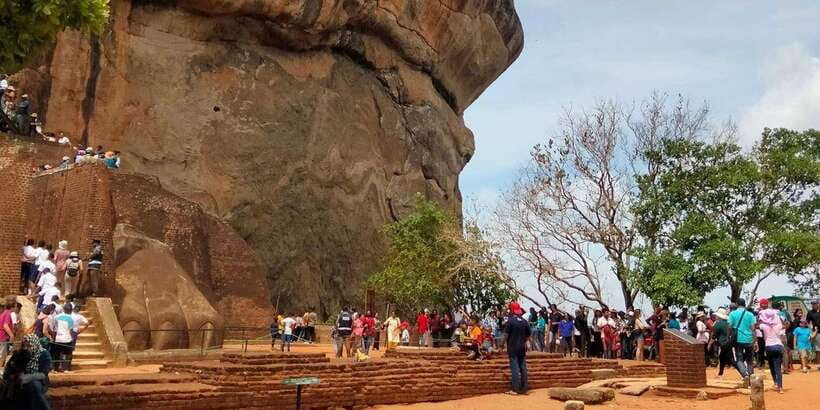 Kandy: Sigiriya Dambulla & Minneriya Park Safari day tour - Driver language and communication: friendly help, not guaranteed explanations
