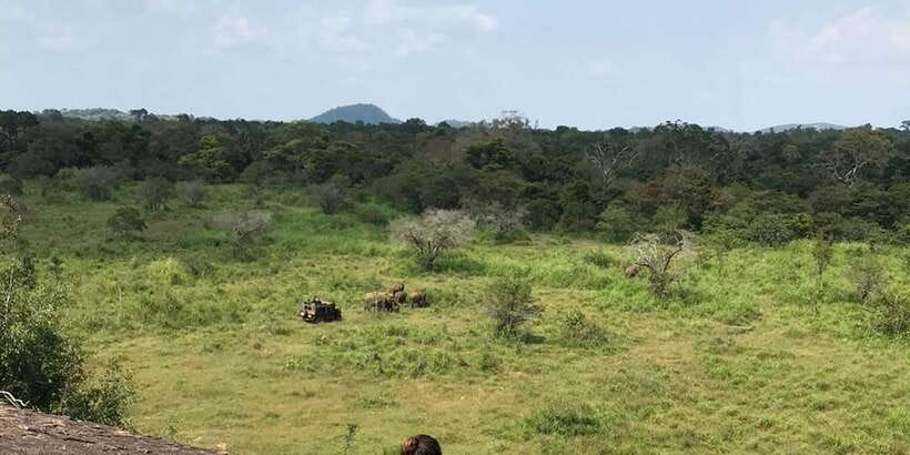 Kandy: Sigiriya, Dambulla & Wildlife Safari Private Tour - A 10-hour private day from Kandy to Sri Lanka’s Cultural Triangle