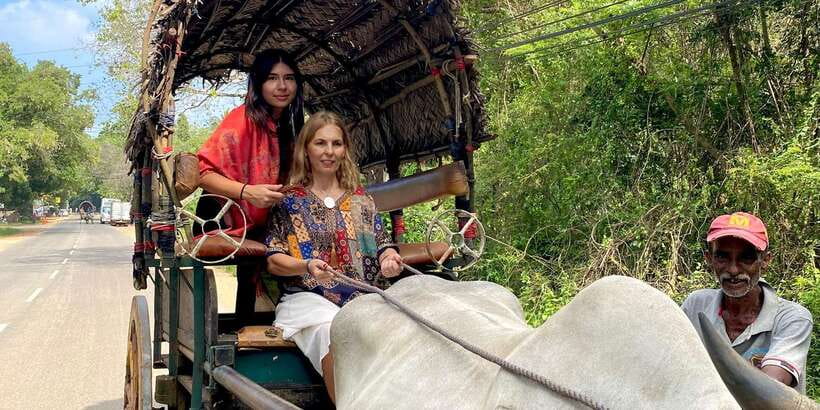 Kandy: Sigiriya, Dambulla & Wildlife Safari Private Tour - Village lunch: the culture stop that makes the day feel real