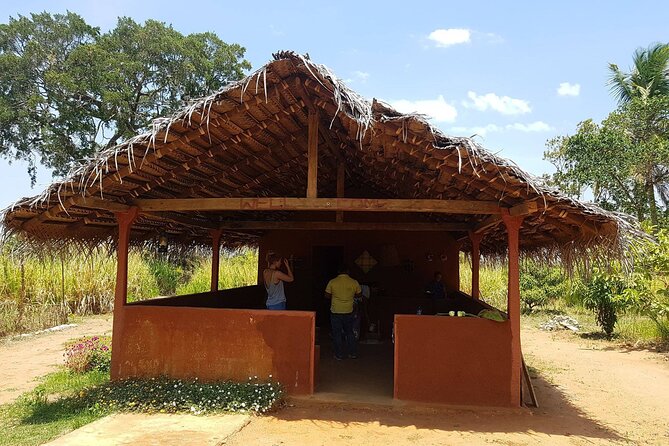 Kandy - Sigiriya Full-Day Private Tour - Your Private Driver, Your Group, and the Real Pace of 8 Hours