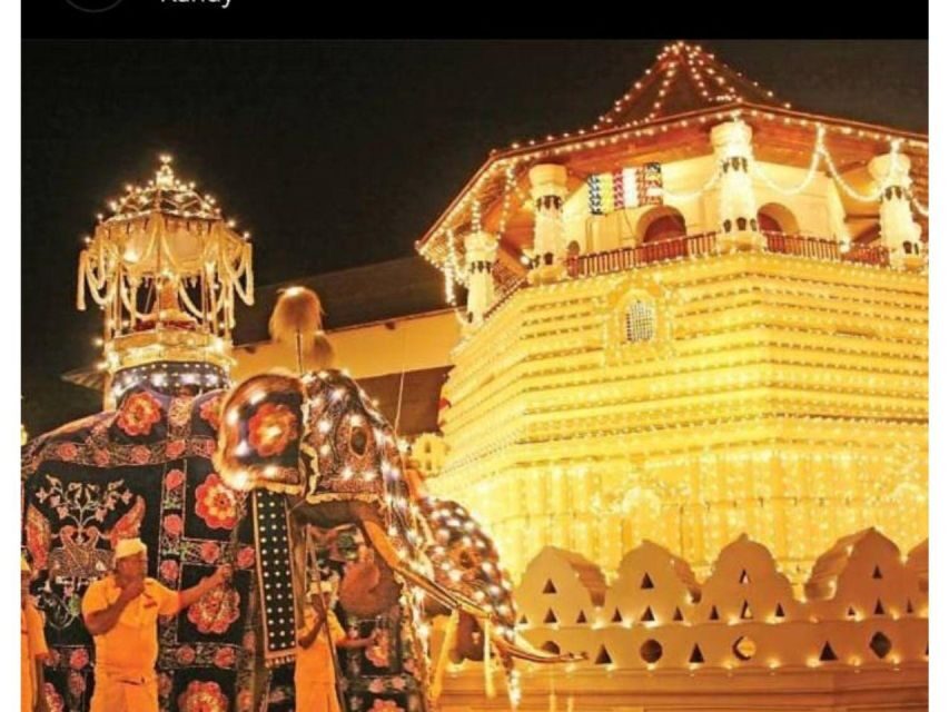Kandy to Ambuluwawa & Kandy City Guided Tuk Tuk Day Tour - Peradeniya Royal Botanic Gardens: Your Break, Your Walk