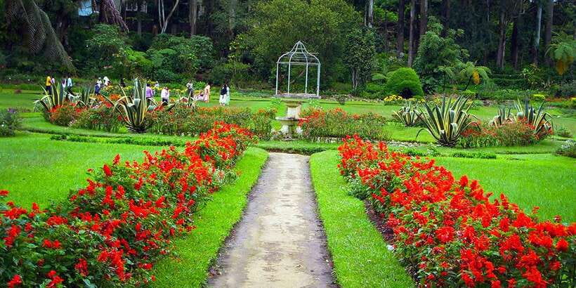 Kandy To Ambuluwawa Tower Day Tour - Price and ticket math: when $17 turns into a full day