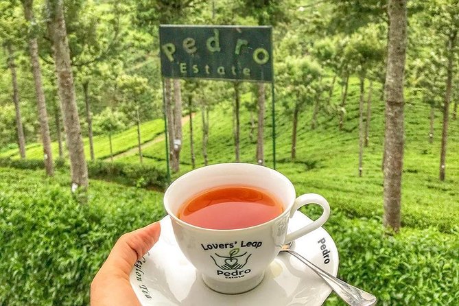 Kandy to Nuwara Eliya Day Tour - Key Points Worth Knowing Before You Go