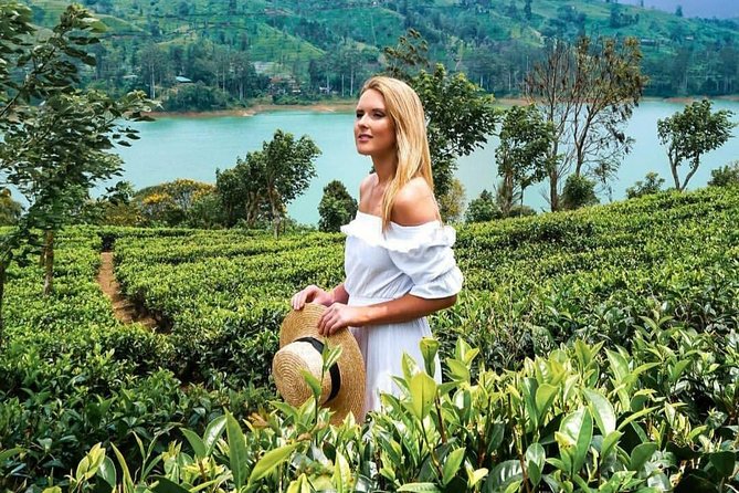 Kandy to Nuwara Eliya Day Tour - Driver/Guide Quality: The Difference Between Okay and Great