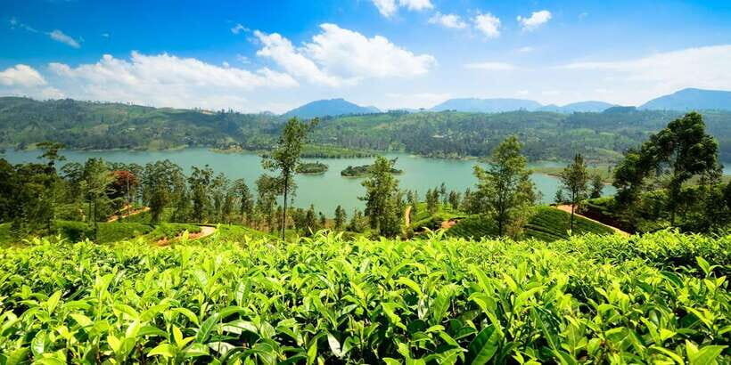 Kandy To Nuwara Eliya Day Tour By Tuk Tuk Sri lanka - The Nuwara Eliya Core: Post Office, Lake Gregory, and Seetha Amman