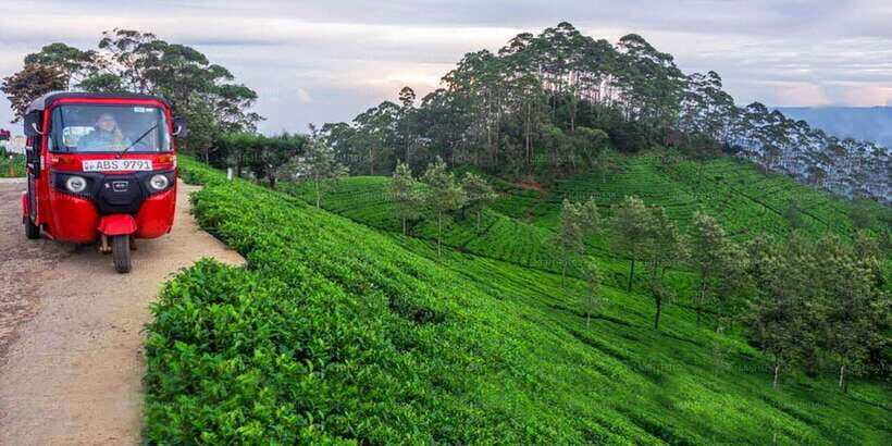 Kandy To Nuwara Eliya Day Tour By Tuk Tuk Sri lanka - Early 7:45 AM Pickup and the Scenic Climb Up the Mountains
