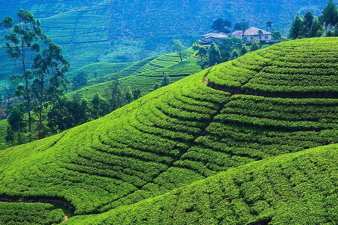 Kandy to Nuwara Eliya Private Day Tour - Ramboda Waterfall: Wide Views, Quick Time