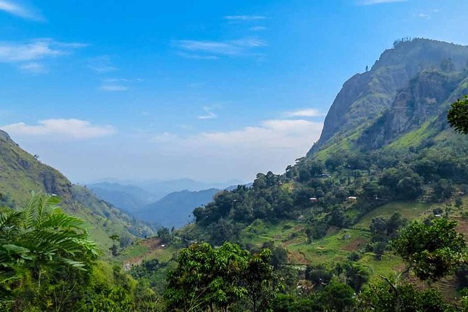 Kandy to Nuwara Eliya Private Day Tour - Price and Value: What $54.60 Really Buys You