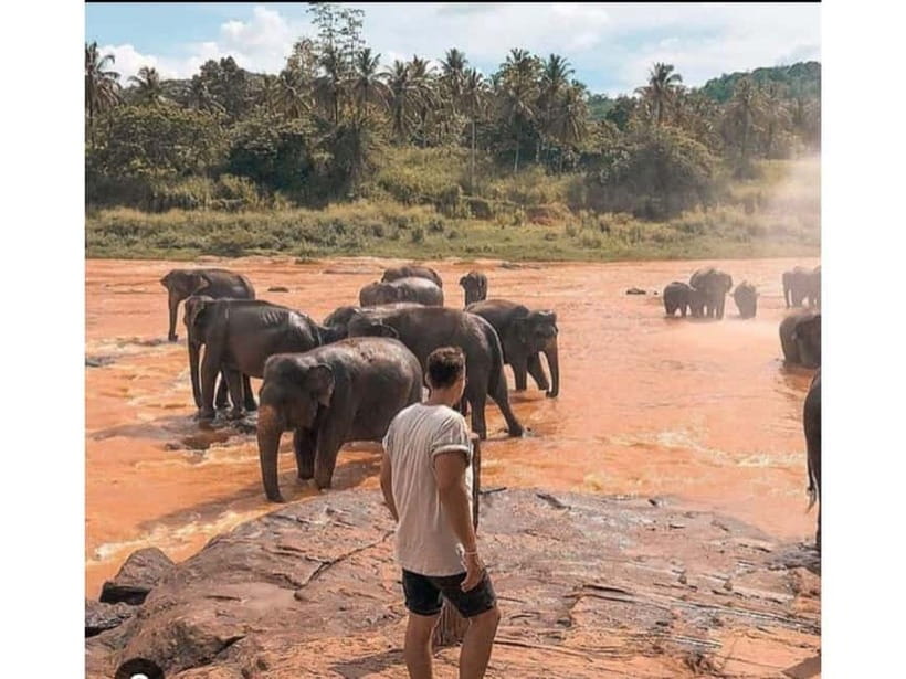 Kandy to Pinnawala Guided Day Tours by Local - Kandy View Point: A Short Stop for a Big Payoff