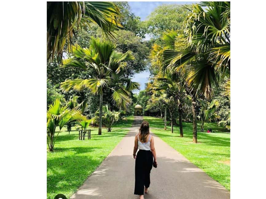 Kandy to Pinnawala Orphanage and Ambuluwawa Guided Day Tour - Wood Carving Factory and Gems Museum: Craft Stops Without the Hard Sell