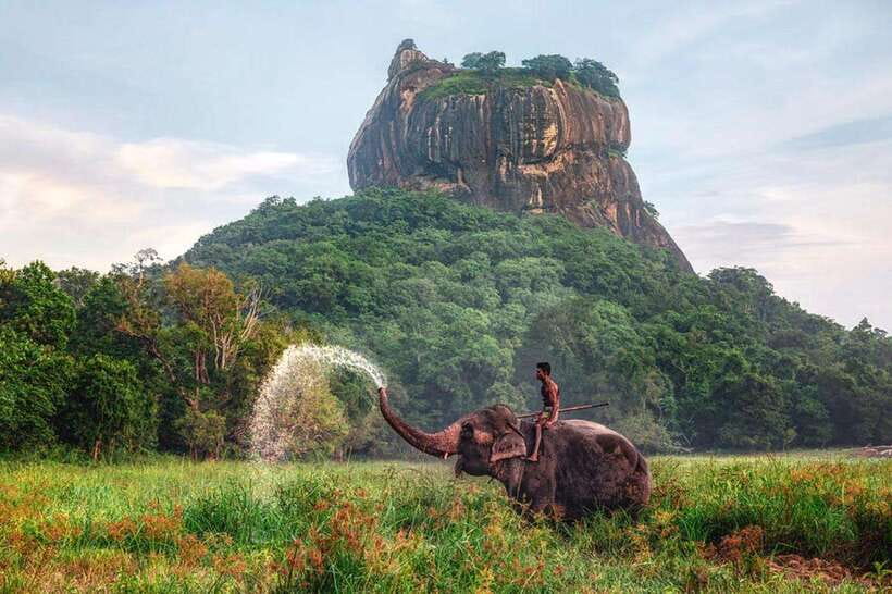 Kandy to Sigiriya Private Tour by Tuk Tuk with All Fees - Spice garden stop: cinnamon and what you’ll actually notice