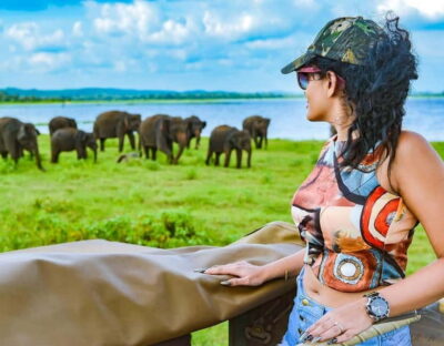 Kaudulla National Park Half-Day Safari with Expert - Getting picked up: Sigiriya, Habarana, Kandalama, and Dambulla