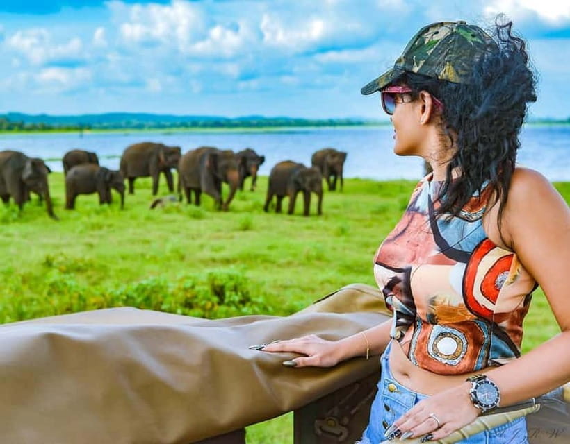 Kaudulla National Park Half-Day Safari with Expert - Getting picked up: Sigiriya, Habarana, Kandalama, and Dambulla
