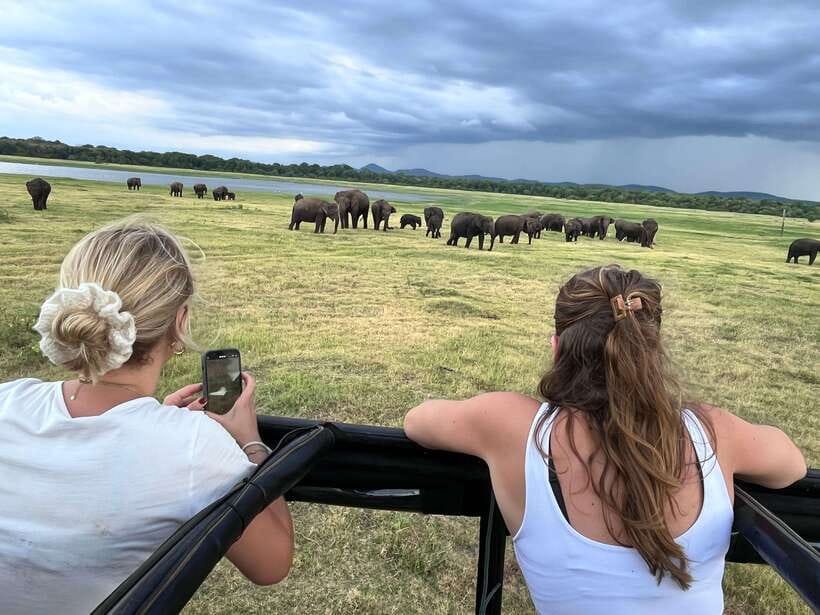 Kaudulla National Park: Private Safari - Key things that make this Kaudulla safari a smart pick