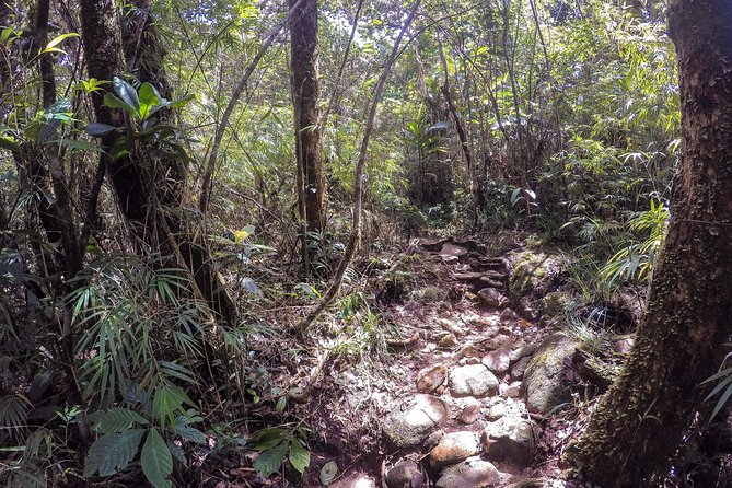 Knuckles Leopard trail Trek from Kandy - The downhill return: same route, different legs