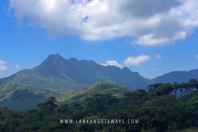 Knuckles Mountain Hiking - Key highlights to know before you go