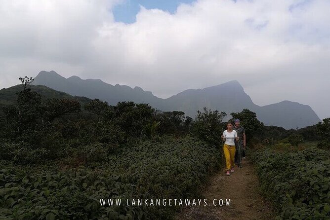 Knuckles Mountain Hiking - One day on the trail: tea fields, bamboo cover, cloud forest, and river payoff