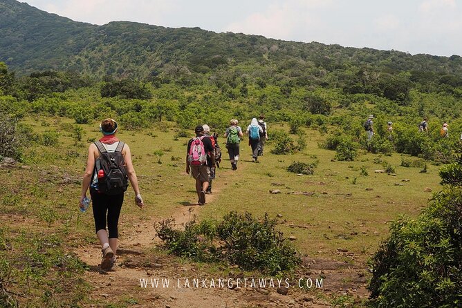 Knuckles Mountain Hiking - Where pickup and tickets fit into your day