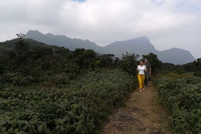 Knuckles Mountain Range Hiking and Trekking Day Tour From Kandy Hotels - Price and what $75 really buys you in Kandy