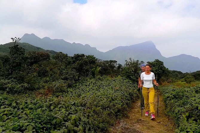 Knuckles Mountain Range Hiking and Trekking Day Tour From Kandy Hotels - Dumbara Kanduvetiya and the Knuckles nickname: what you’re really hiking in