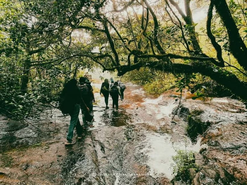 Knuckles Mountain Range: Kotaganga Waterfall Chain Hike - Key things to know before you go