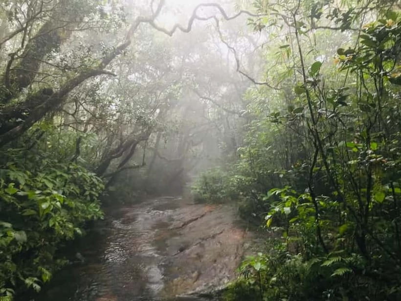 Knuckles Mountain Range: Kotaganga Waterfall Chain Hike - What to pack and what to expect when the weather changes