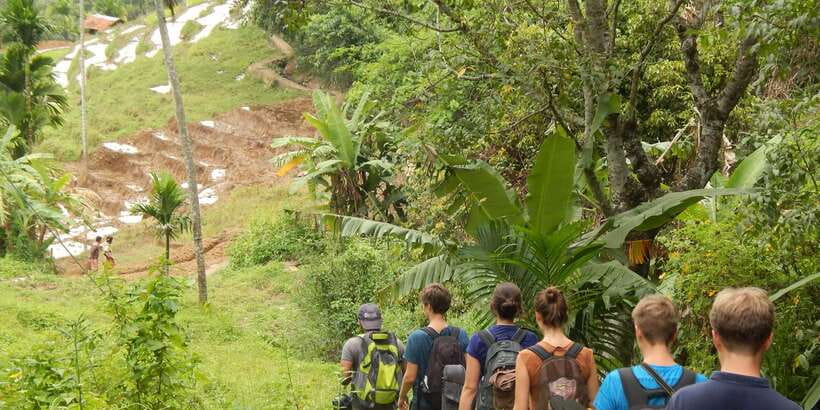 Knuckles Spice Trail Trek from Kandy - Tea plantation trails and big views: the first payoff