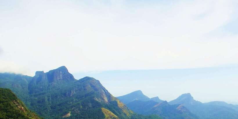 Knuckles Spice Trail Trek from Kandy - The spice forest and garden stops: learning as you walk