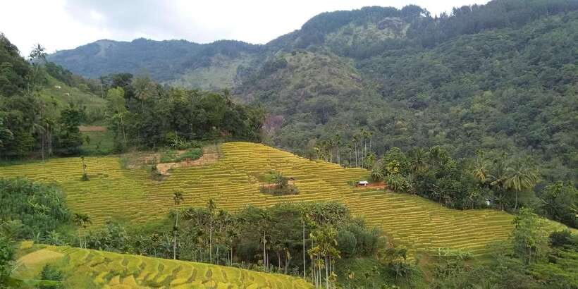 Knuckles Spice Trail Trek from Kandy - Waterfall crossing and the natural swimming pool: the day’s best break