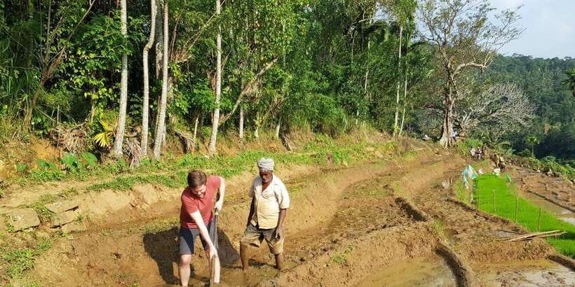 Knuckles Spice Trail Trek from Kandy - Terrace rice fields and the shift toward village life